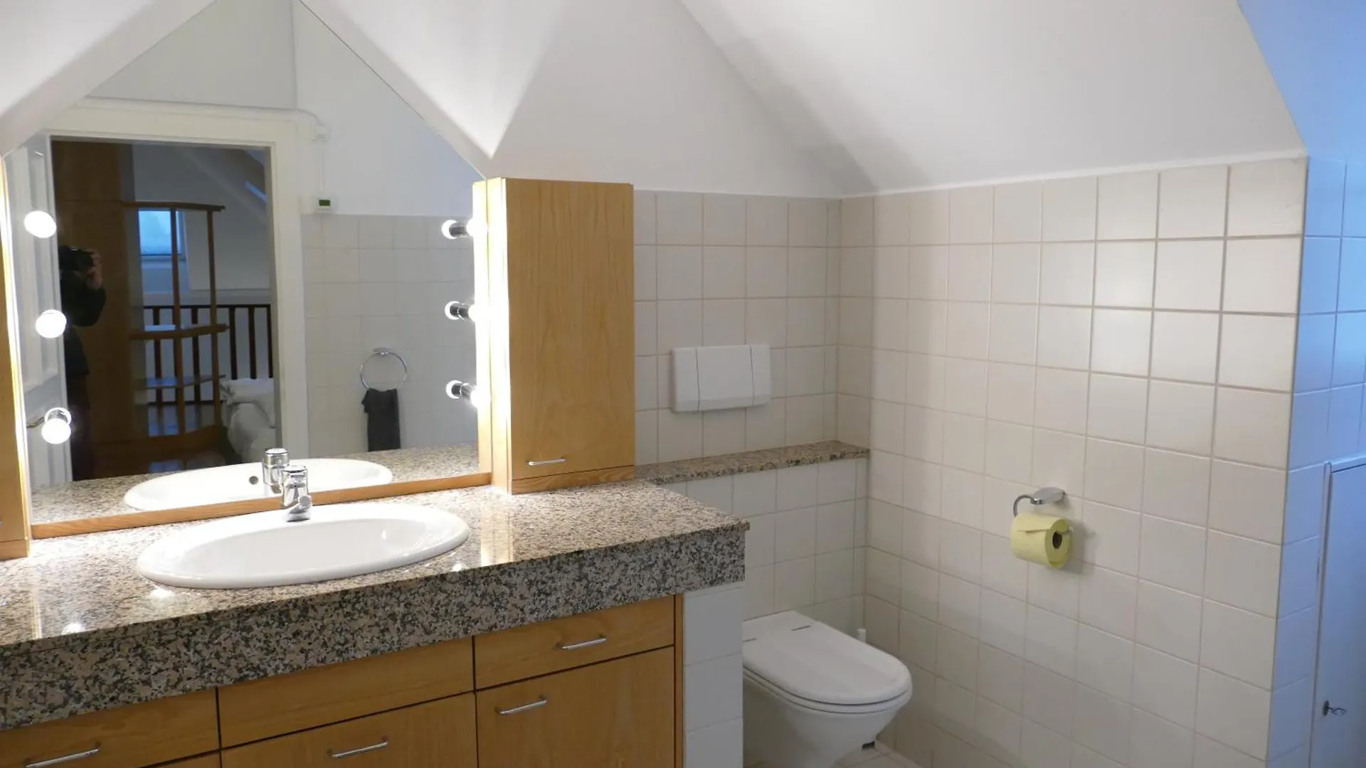 Traumhafte Maisonnette Mit Kamin Vienna Apartment